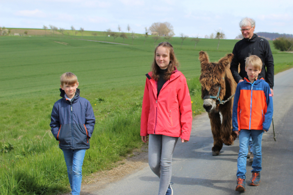Der Ablauf der Eselwanderung hängt von Ihren Wünschen ab. Wir besprechen vor dem Start den Ablauf und legen ihn dann gemeinsam fest....